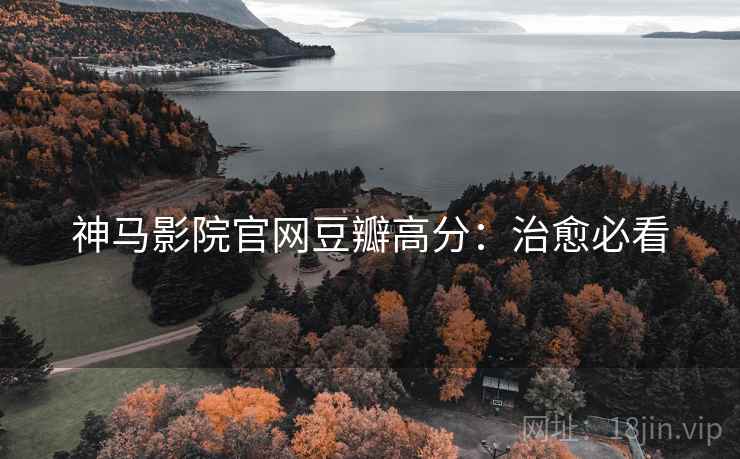 神马影院官网豆瓣高分：治愈必看
