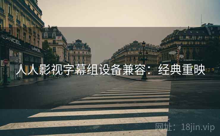 人人影视字幕组设备兼容：经典重映